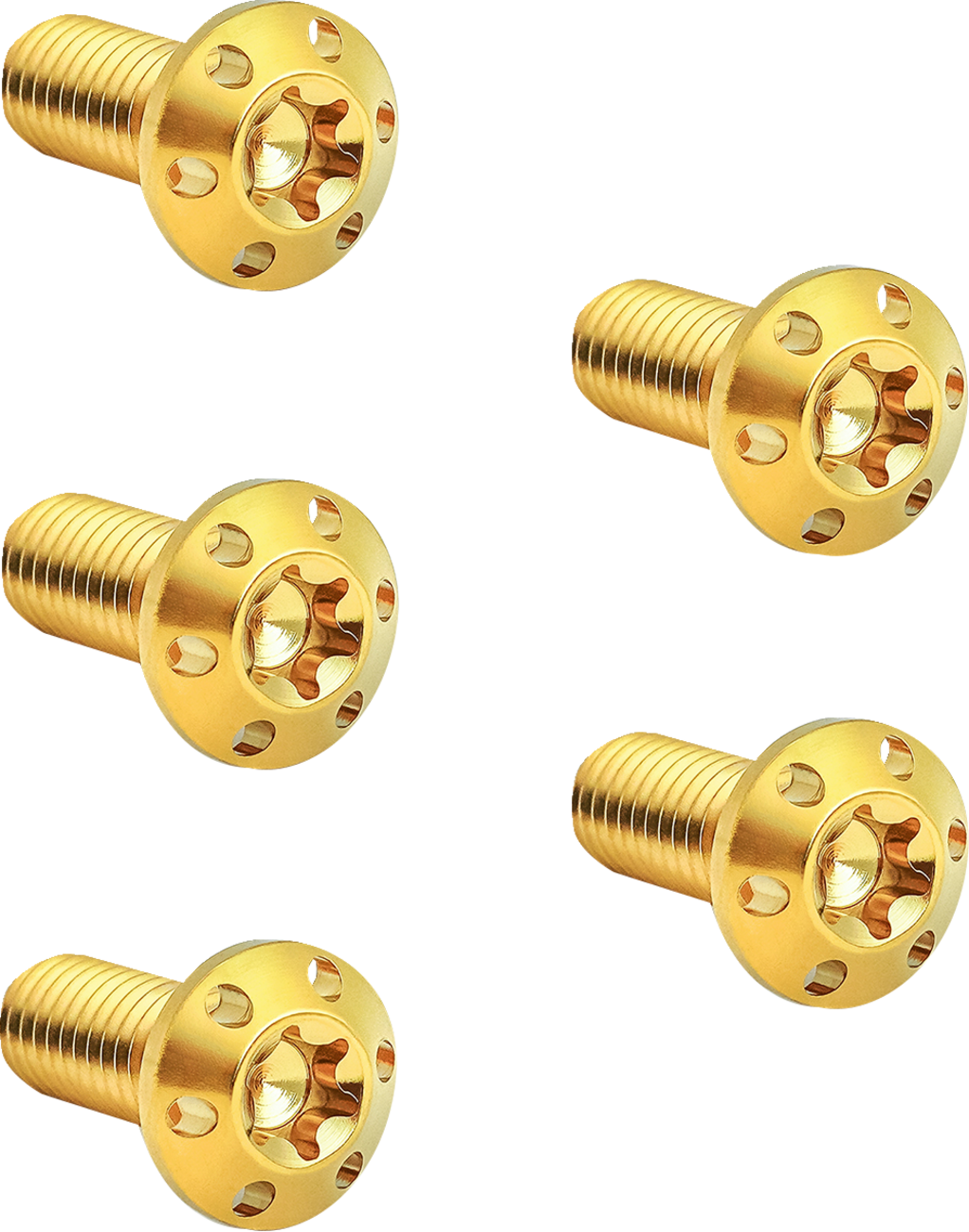 Arlen Ness Holeshot Gold Front Hub-Mount Brake Rotor Bolt Kit for 2021-24 Harley