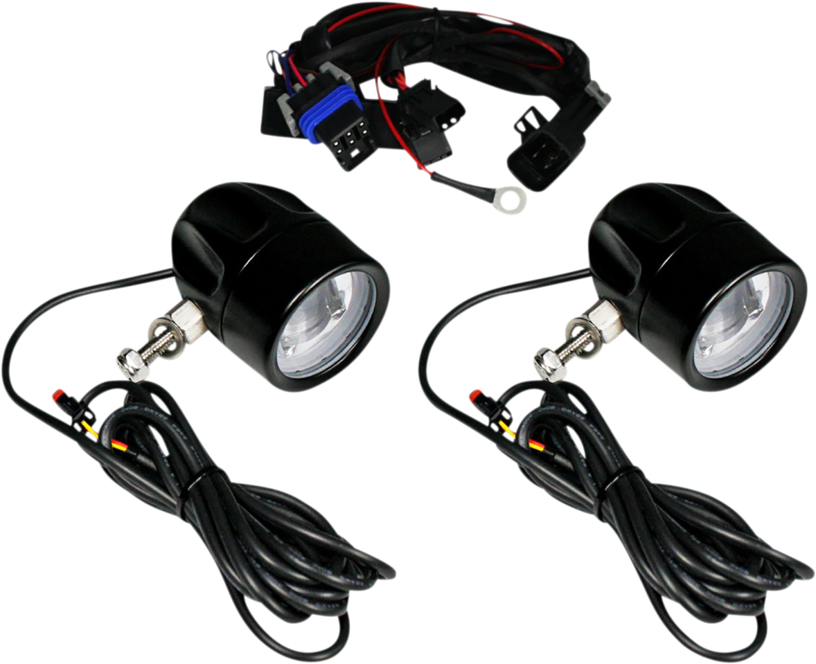 Custom Dynamics Black ProBEAM® LED Halo Fog Lamps 2020-2022 Indian Challenger