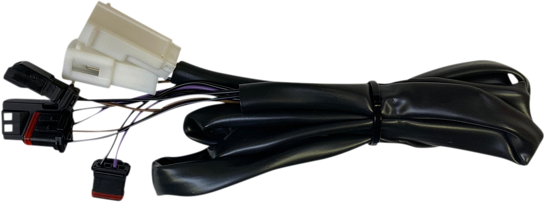 Custom Dynamics Rear Integrated Taillight Harness 2018-2022 Harley Low Rider